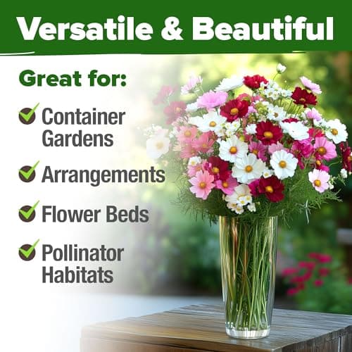 HOME GROWN Cosmos Flower Seeds Bulk Pack for 2025 (1.8 oz) 8,000+ 𝗡𝗢𝗡-𝗚𝗠𝗢 𝗨𝗦𝗔-𝗦𝗢𝗨𝗥𝗖𝗘𝗗 Heirloom Annual Wildflower Seeds – Pollinator-Friendly Mix for Pollinators & Outdoor Gardens