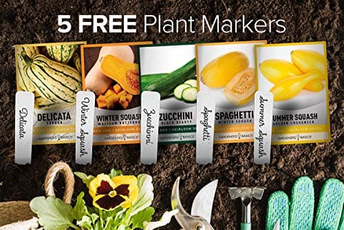 Gardeners Basics, Squash Seeds for Planting 5 Individual Packets - Zucchini, Delicata, Butternut, Spaghetti and Golden Crookneck for Your Non GMO Heirloom Vegetable Garden
