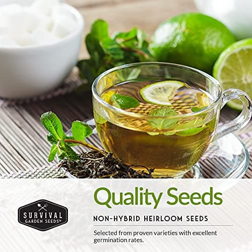Medicinal Tea Seeds Collection - 9 Non-GMO Heirloom Herbs to Grow in The Garden - Chamomile, Lavender, Echinacea, Catnip, Lemon Balm, Marigold, Sage, Peppermint, White Yarrow - Survival Garden Seeds