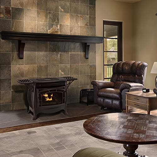 Duluth Forge Dual Fuel Vent Free Gas Stove - Model FDSR25, 26,000 BTU, Matte Finish, Remote Control