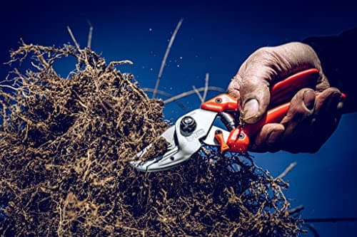 Original LÖWE Profi Anvil Prunner Garden Tools 8.107 with Bypass Geometry | Robust & Sharp Hedge Trimmer | Use as Pruners, Garden Shears, Handheld, Pruning Shears for Gardening | Made in Germany