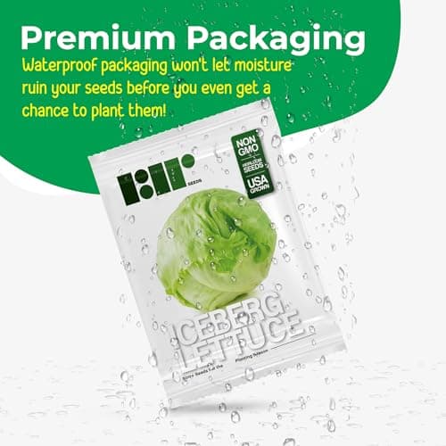 500 Iceberg Lettuce Seeds for planting - Heirloom Non-GMO USA Grown Premium Vegetable Seeds for Planting Home Garden - Crisphead Heading Lettuce Lactuca Sativa by RDR Seeds