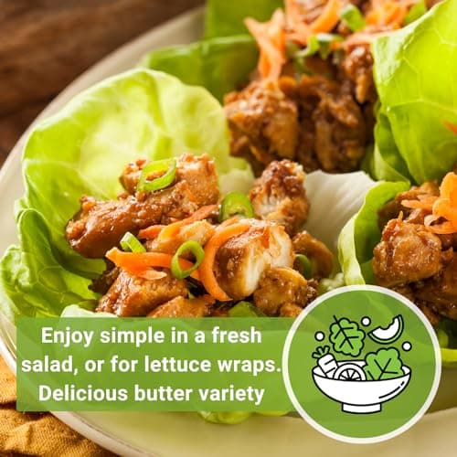 Sow Right Seeds - Buttercrunch Lettuce Seeds for Planting - Non-GMO Heirloom Packet with Instructions to Plant a Home Vegetable Garden - Outdoors or Hydroponics Indoors - Heat Tolerant Variety (1)