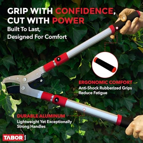 TABOR TOOLS GG22A Telescopic Extendable Anvil Lopper with Compound Action, 27-40 Inch Telescopic Tree Trimmer, Long Handled Branch Cutter with ⌀ 2 Inch Cut Capacity, Chops Thick Branches with Ease.