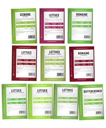 Gardeners Basics, Salad Greens Lettuce Seeds Heirloom Vegetable Seed 23,000 Seeds for Planting Indoors and Outdoor 10 Packs - Buttercrunch, Romaine, Iceberg, (and More) Leaf and Head Variety Pack