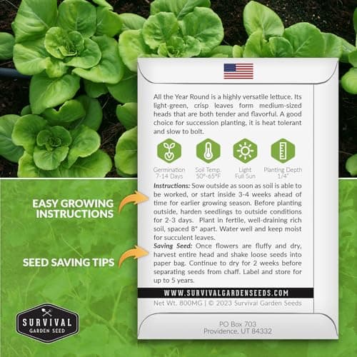 All The Year Round Lettuce Seed for Planting - 1 Packet with Instructions to Plant & Grow Adaptable Salad Greens in Your Home Vegetable Garden - Non-GMO Heirloom Variety - Survival Garden Seeds