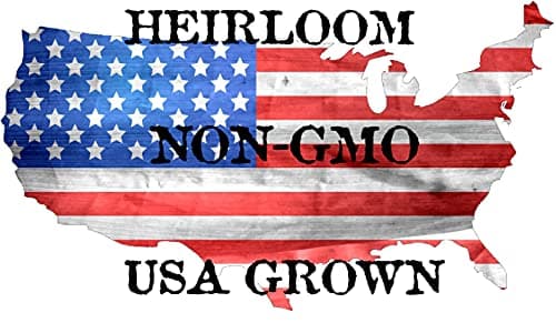 500 Bloomsdale Spinach Seeds - Heirloom Non-GMO USA Grown - for Use Indoors, Outdoors, or with Hydroponics by RDR Seeds