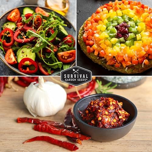 10 Pepper Variety Pack Seed Vault - Serrano, Big Red, California Wonder, Cayenne, Cubanelle, Orange Habanero, Jalapeño, Marconi, Rainbow Bell, Poblano Pepper - Non-GMO Heirloom Survival Garden Seeds