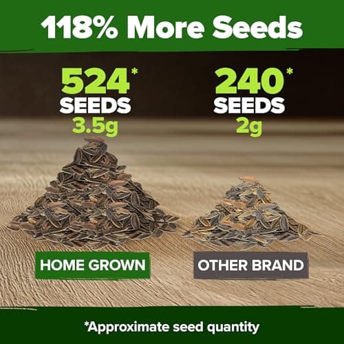 HOME GROWN Zinnia Dahlia Seeds Pack for 2025 – 524 𝗡𝗢𝗡-𝗚𝗠𝗢 𝗨𝗦𝗔 Flower Seeds | Vibrant Zinnia Elegans for Pollinator Gardens, Borders & Containers | Easy-to-Grow Outdoor Blooms