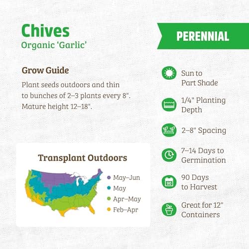 Seed Packet - Chives 'Garlic' 140mg