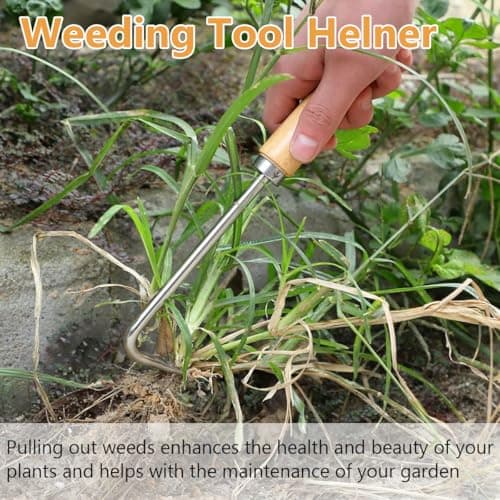 Hand Dibber, Stainless Steel Sow Dibbler with Wood Handle, Garden Hole Punch Dibbler Tool for Planting Seeds & Bulbs (Medium Log Color Hooked)