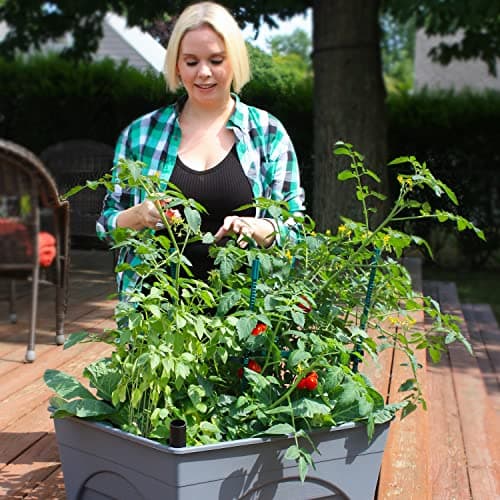 Emsco Group City Picker Raised Bed Grow Box – Self Watering and Improved Aeration – Mobile Unit with Casters - Slate