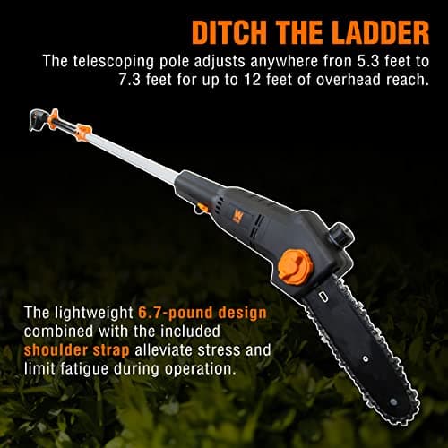 WEN 4019 6-Amp 8-Inch Electric Telescoping Pole Saw, Corded electric - Black&orange