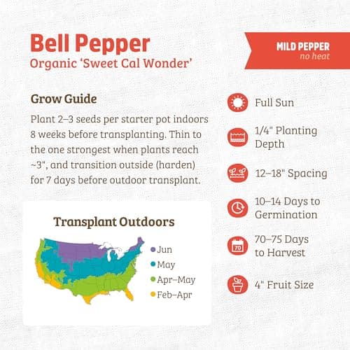 Seed Packet Bell Pepper 'Sweet Cal Wonder'