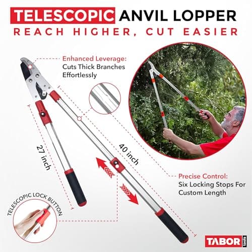 TABOR TOOLS GG22A Telescopic Extendable Anvil Lopper with Compound Action, 27-40 Inch Telescopic Tree Trimmer, Long Handled Branch Cutter with ⌀ 2 Inch Cut Capacity, Chops Thick Branches with Ease.