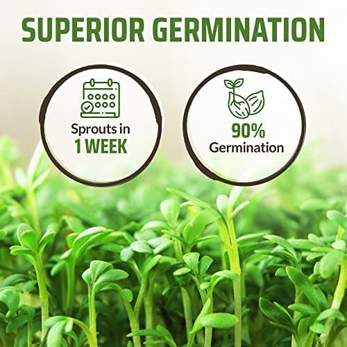 Rooted Acre 8 Varieties Hot Peppers – 240 Heirloom Seeds, 𝗡𝗢𝗡-𝗚𝗠𝗢 𝗨𝗦𝗔-𝗦𝗢𝗨𝗥𝗖𝗘𝗗, High Germination – Includes Ghost, Jalapeño, Serrano, California Wonder & More – Spicy Pepper Garden Mix