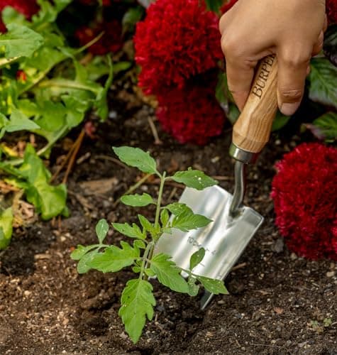 Burpee 13" Stainless Steel Trowel Durable Long Lasting Garden Tool Leather Wrist Strap 5" Handle, 10 Year Warranty, Oak
