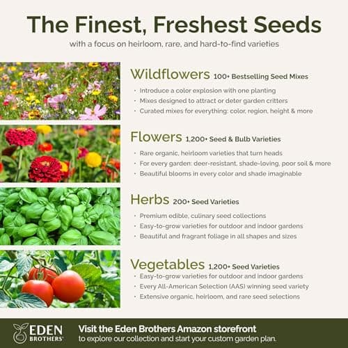 Eden Brothers All Perennial Wildflower Mixed Seeds for Planting, 1/4 lb, 120,000+ Seeds with Lupine, Shasta Daisy | Attracts Pollinators, Plant in Spring or Fall, Zones 3, 4, 5, 6, 7, 8, 9, 10