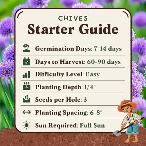 Organic Chive Seeds for Planting Indoor and Outdoor, Non-GMO and USDA Certified Herb Seed Packet for Hydroponic Garden Indoor or Planting Outdoors (Common Chives)