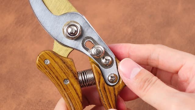 Lothee Japanese Gardening Scissors Made in Japan, Carbon Steel Flower Pruning Shears Heavy-duty Gardening Scissors, for Pruning Plants