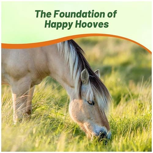 Outsidepride Horse Choice Pasture & Livestock Grass Seed Mix - 25 Lbs Perennial, Drought Tolerant, Cold Hardy, & High Yield Lawn Grass Seeds for Grazing, Hay, Silage, & Greenchop
