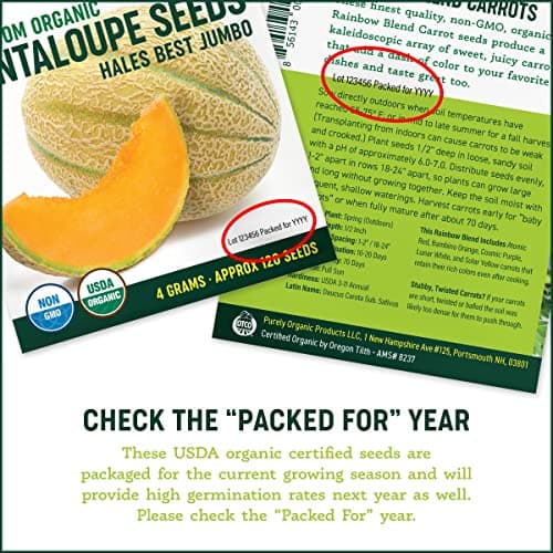Organic Cucumber Seeds (Marketmore 76) - Approx 100 Seeds - USDA Organic, Non-GMO, Open Pollinated, Heirloom, USA Origin