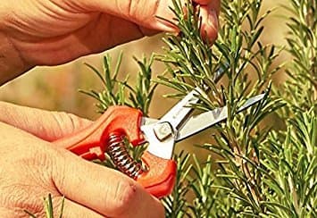 Corona FS 3214D ComfortGEL Leaf & Stem Micro Snips, Pack of 1, Orange