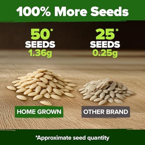 HOME GROWN Persian Cucumber Seeds – 50+ Heirloom Non-GMO, High-Yielding Beit Alpha Variety | Fast Growing, Sweet Tender Skin, Home Vegetable Garden Seeds (Cucumis sativus)
