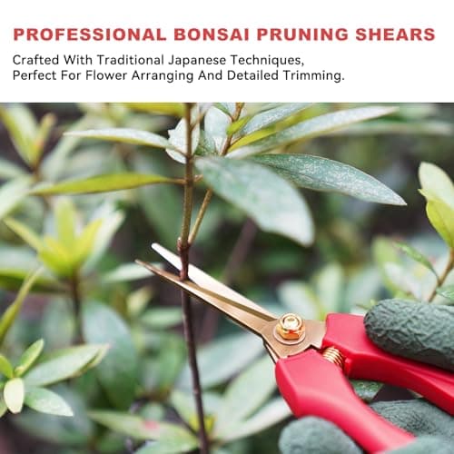 FLORA GUARD Professional bonsai Pruning shear set, long blade pruning scissors and scimitar tip pruning scissors, gold plated titanium flower scissors set, suitable for indoor plants, bonsai