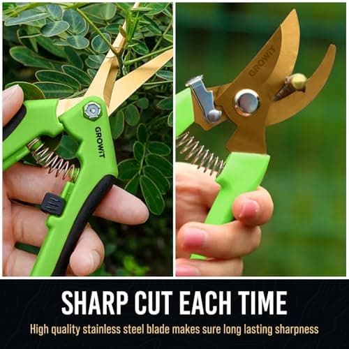 Pruning Shears & Gardening Scissors Set - 7" Titanium Coated Sharp Garden Clippers, Stainless Steel Flower Shears for Plant - Garden Pruners, Florist Scissors with Non-Slip Grip
