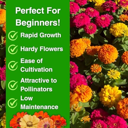 1200+ Crazy Blend Zinnia Seeds for Planting, Heat & Drought Tolerant, Zinnia Elegans Lilliput Seeds, Garden Cut Flower Mix, Non GMO, Untreated Mixed Color Zinnia Flowers