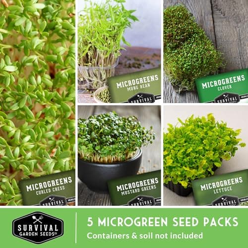 Survival Garden Seeds Microgreens 5 Pack (Seeds Only) - Plant, Sprout, and Grow a Mix of Microgreen Plants in Your Kitchen or on Your Windowsill - Lettuce, Curled Cress, Mung Bean, Mustard, Clover
