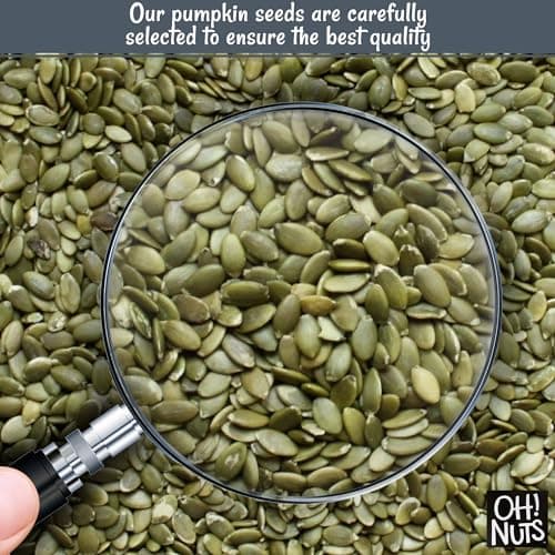 Oh! Nuts Pumpkin Seeds - Roasted Salted - 2 lb - No Shell Pepitas - Packed in New York Zip-Seal Bag for Exceptional Freshness