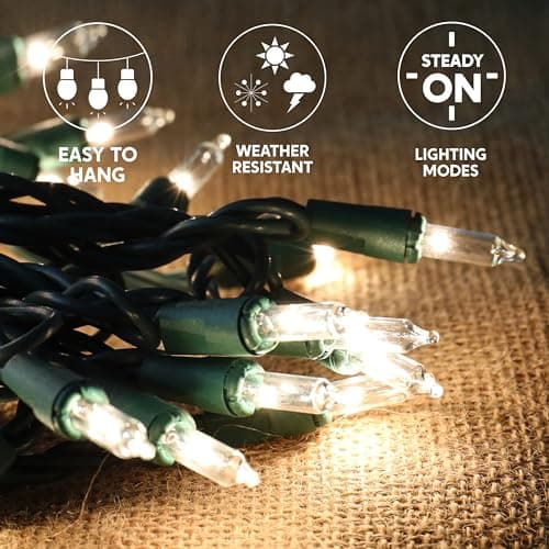 Joiedomi Clear Christmas String Lights Indoor,100 Count Mini Warm White Fairy Light,21.5FT Lighting Decor for Patio Dorm Classroom Bedroom Holiday Wedding Party Garland Birthday Festival,Green Wire