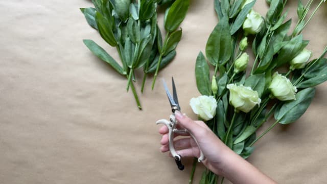 Plant Pruning Shears Garden Trimming Scissors Precision Hand Pruner Herb Snips Flower Clippers Bonsai Trimmers Straight Sharp Blade Tapered Tip Ergonomic Handle Garden Tools (Classic Cream)