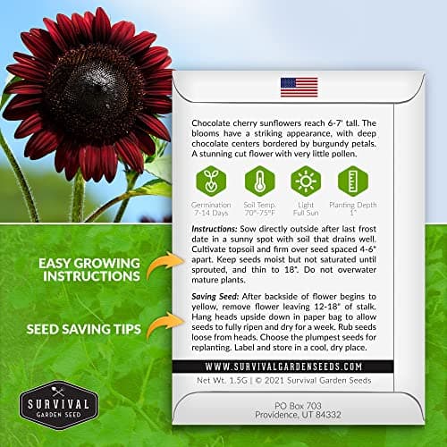 Survival Garden Seeds Chocolate Cherry Sunflower Seed for Planting - Packet with Instructions to Plant & Grow Beautiful Flowers in Your Home Vegetable & Flower Garden - Non-GMO Heirloom Variety (1)
