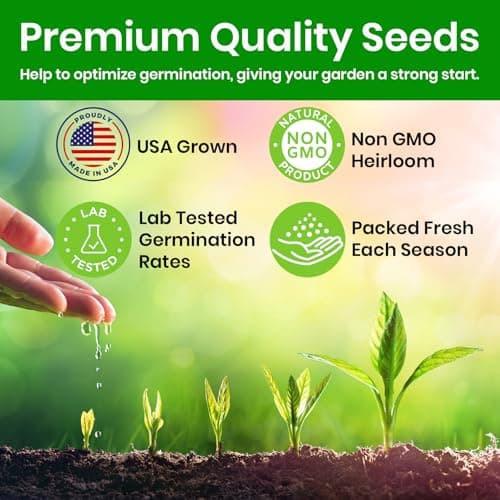 Lettuce Seeds for Planting, Red Romaine Lettuce, Bibb Butter Lettuce, Black Seeded Simpson, Green Ice Iceberg Lettuce, Non-GMO…