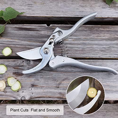 TONMA Pruning Shears for Gardening [Made in Japan] 8 Inch Bypass Garden Scissors Secateurs, Premium Japanese Gardening Tools Hand Pruner Clippers with Ergonomic Handle