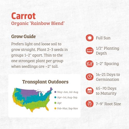 Seed Packet - Carrot 'Rainbow Blend'