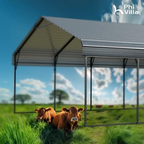PHI VILLA 20 x 30-ft Carports, Durable Portable Garage Carport Canopy Car Tent