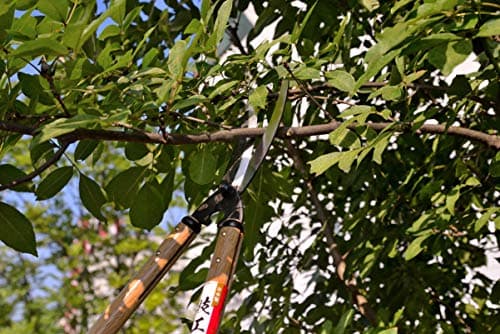 KAKURI Japanese Loppers Hedge Shears for Gardening 26", Long Handled Pruning Shears for Trimming and Pruning, Heavy Duty Long Handle, Made in Japan