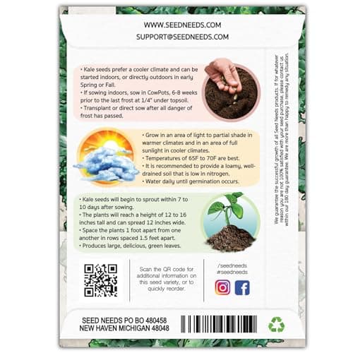 Seed Needs, Vates Blue Scotch Curled Kale Seeds - 300 Heirloom Seeds for Planting Brassica oleracea - Garden Fresh Vegetables, Non-GMO & Untreated (1 Pack)