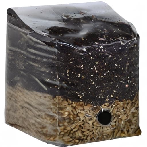 Mini All in One Mushroom Grow Bag