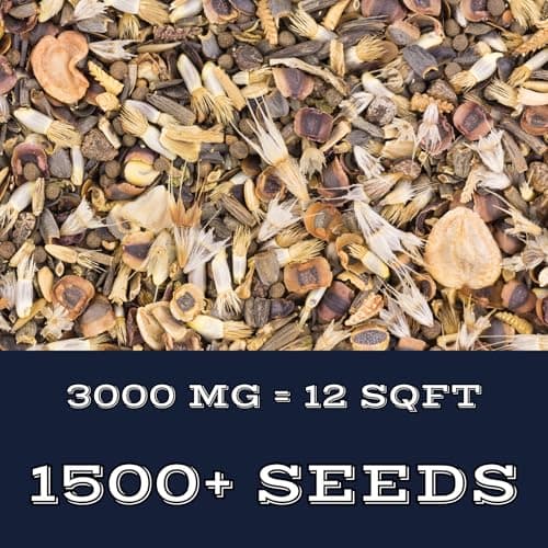 Shade Wildflower Mix (Seed Packet) - Shade, Perennial, Deer-Resistant, Hummmingbird, Midwest and Others Create a Colorful Garden That Enhances Your Outdoor Space with Natural Beauty!