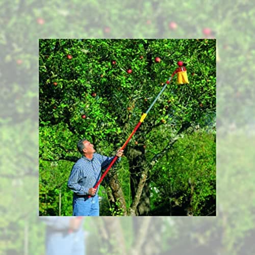 WOLF Garten ZMV3 Multi-Change Telescopic Handle Extends from 170-300cm