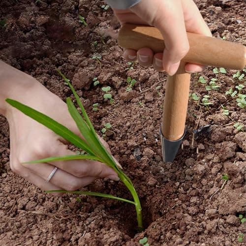 Hand Dibber, Seed Dibber, Garden Dibber, Dibber Garden Tool, Galvanized Alloy Head, Bulb Planter for Planting Flowers Tulips Daffodils Dahlias