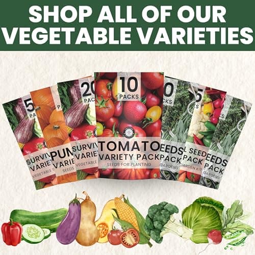 35 Vegetable Seeds | Survival Variety Pack | 2025 Season | Individually Packed Vegetables, Herbs and Fruits | Emergency Seed Vault for Doomsday Prepping | by Family Sown