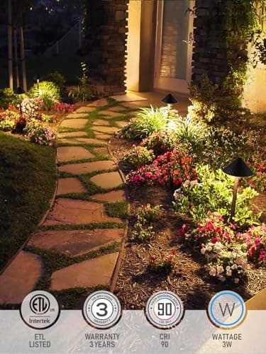 LEONLITE 12-Pack Low Voltage Pathway Lights, 3W 12-24V AC/DC CRI90+ Low Profile LED Landscape Path Lights, Cone Head with Vintage Texture & Vintage Golden Edge, IP65 Waterproof, Black Aluminum Housing