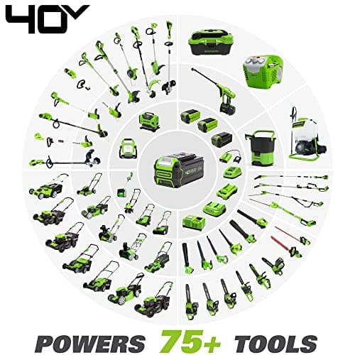 Greenworks 40V 12" Cordless Compact Chainsaw (Great For Storm Clean-Up, Pruning, and Camping), 2.0Ah Battery and Charger Included