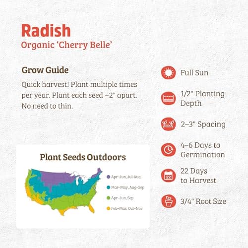Back to the Roots - 100% Organic Seed Packet - Radish 'Cherry Belle' 1.4g